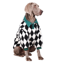 Harlequin Pet Polo