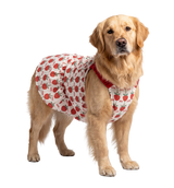 Berry Pet Dress
