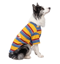 Stripe Pet Tee