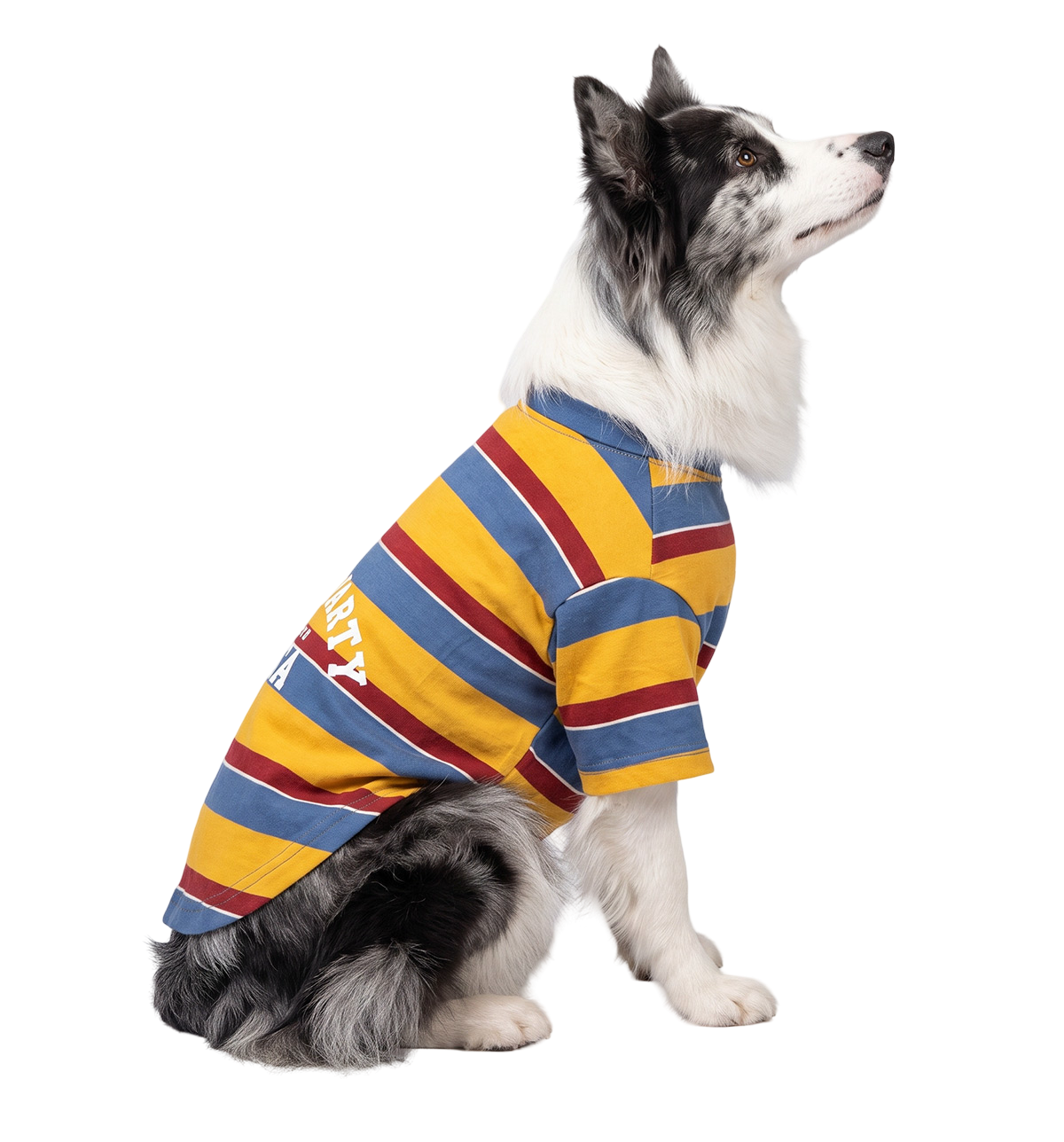 Stripe Pet Tee