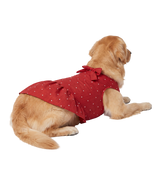 Bow Pet Dress
