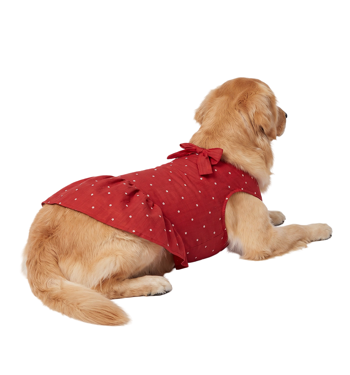 Bow Pet Dress