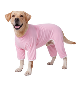 Pet Recovery Suit