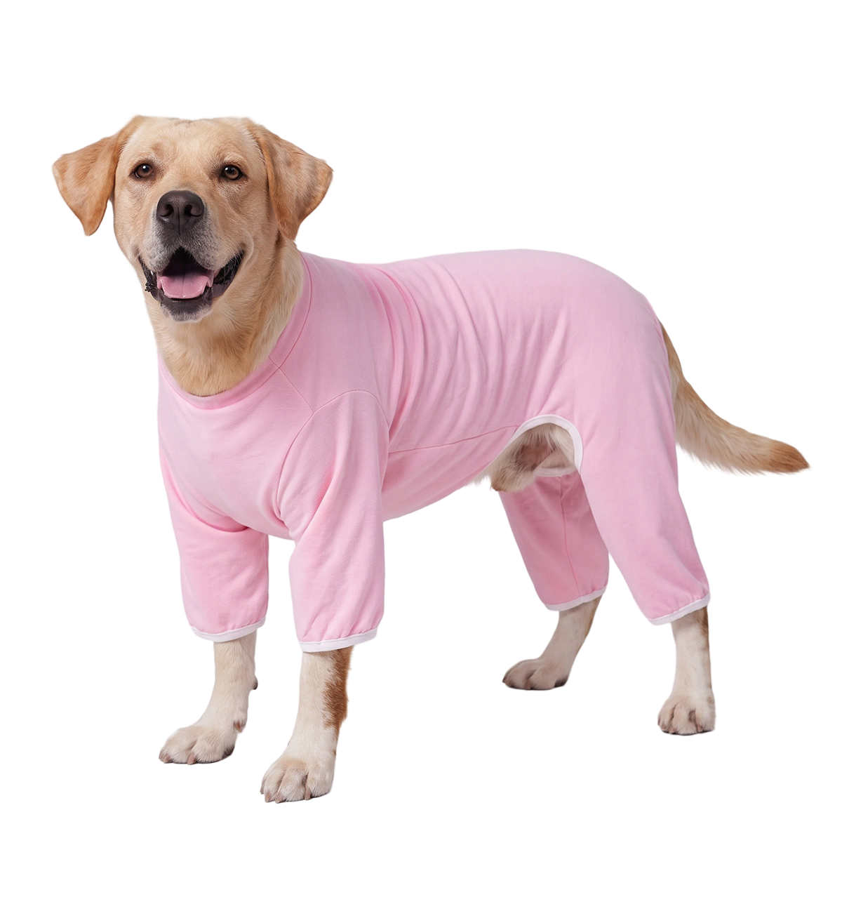 Pet Recovery Suit