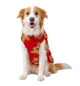 Teddy Pet Vest