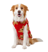Teddy Pet Vest