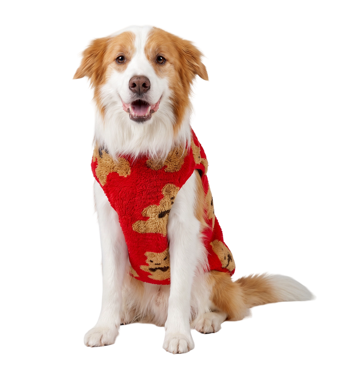 Teddy Pet Vest