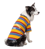 Stripe Pet Tee