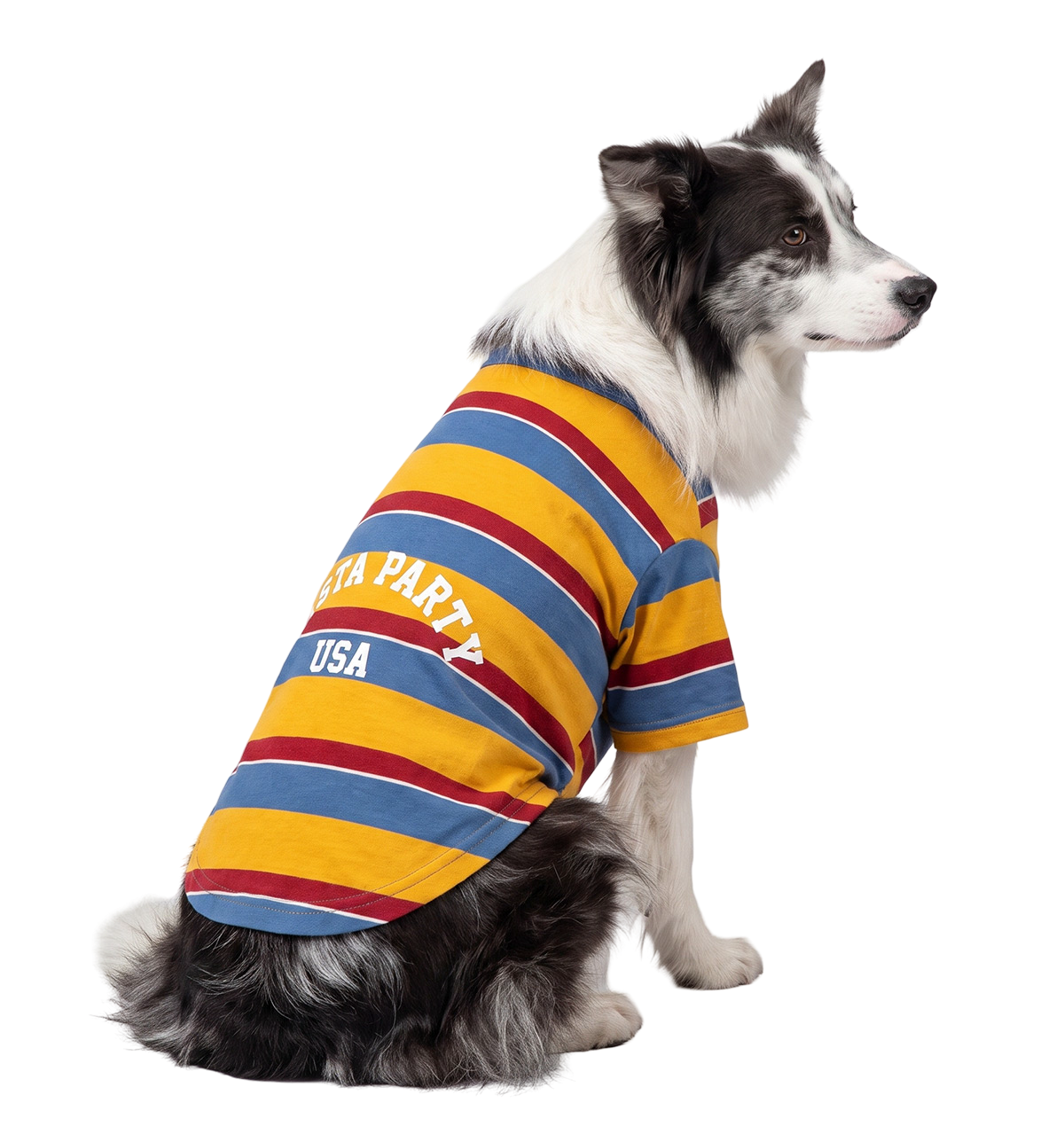 Stripe Pet Tee