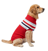 Stripe Pet Sweater
