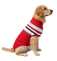 Stripe Pet Sweater