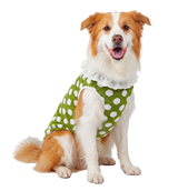 Dot Plush Pet Vest