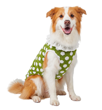 Dot Plush Pet Vest