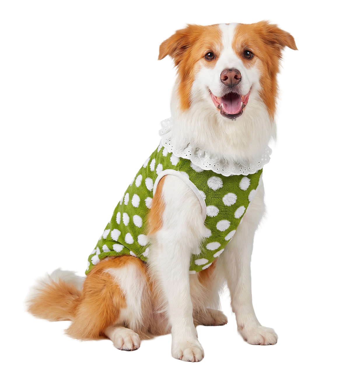 Dot Plush Pet Vest