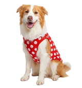 Dot Plush Pet Vest