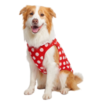 Dot Plush Pet Vest