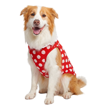 Dot Plush Pet Vest