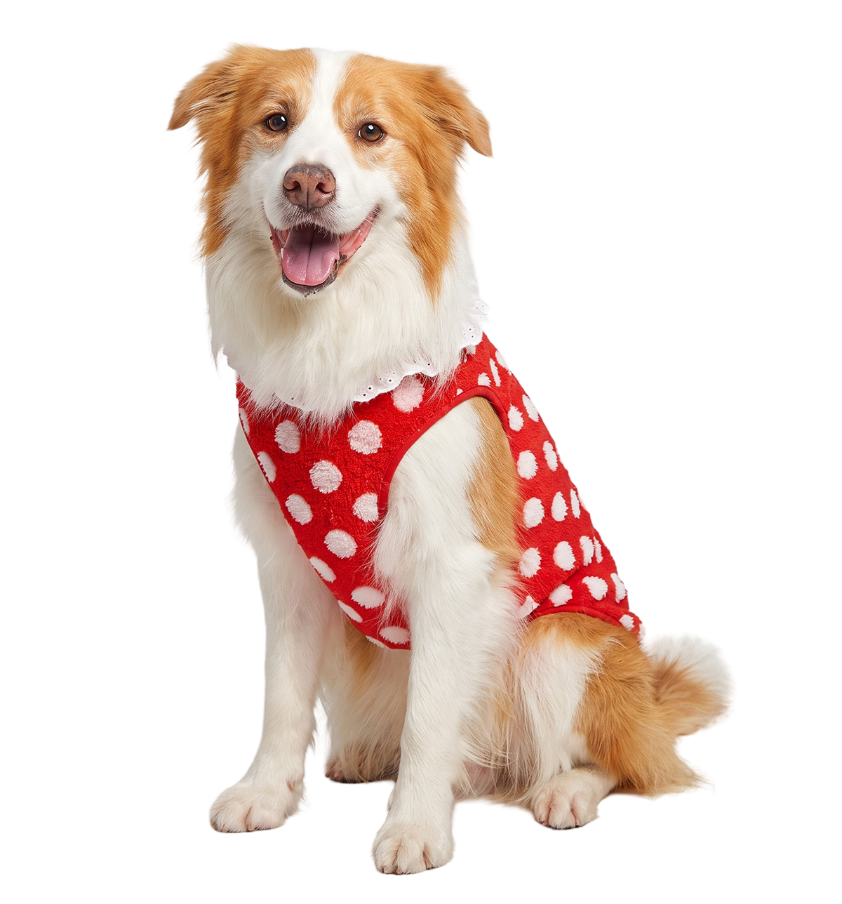 Dot Plush Pet Vest