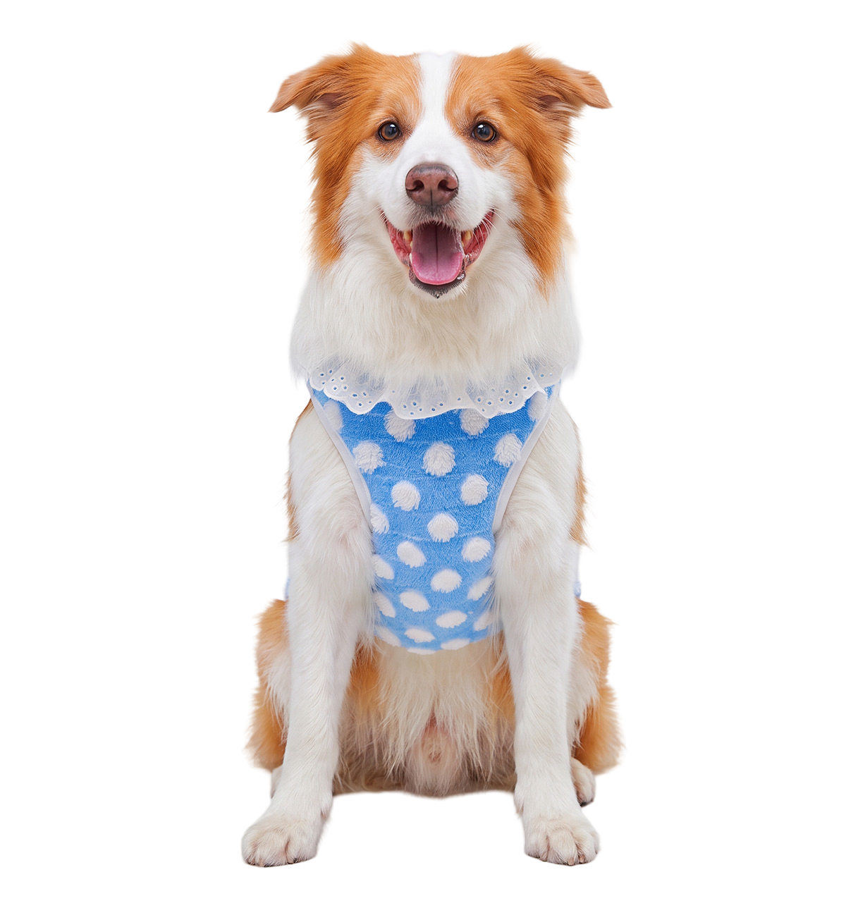 Dot Plush Pet Vest