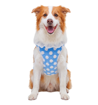 Dot Plush Pet Vest