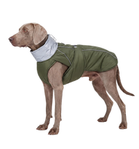Reflective Pet Coat