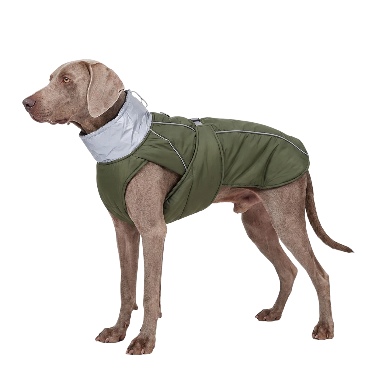 Reflective Pet Coat