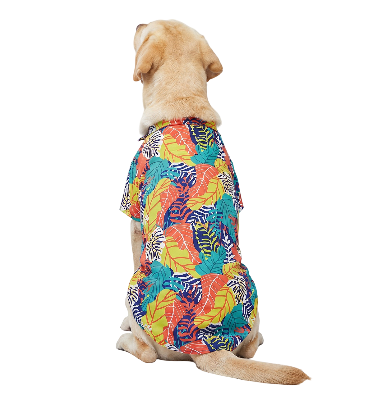 Tropical Pet Shirt