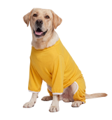 Pet Recovery Suit