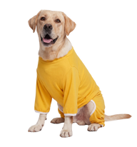 Pet Recovery Suit