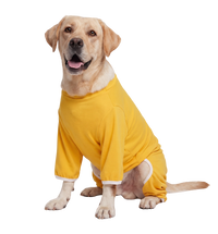 Pet Recovery Suit