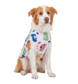 Cute Dino Pet Vest
