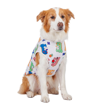 Cute Dino Pet Vest