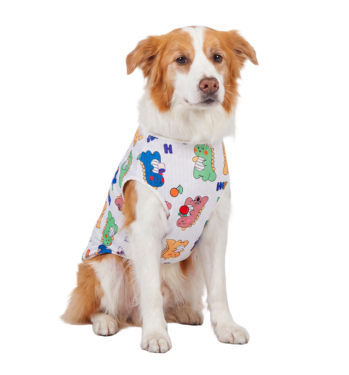 Cute Dino Pet Vest