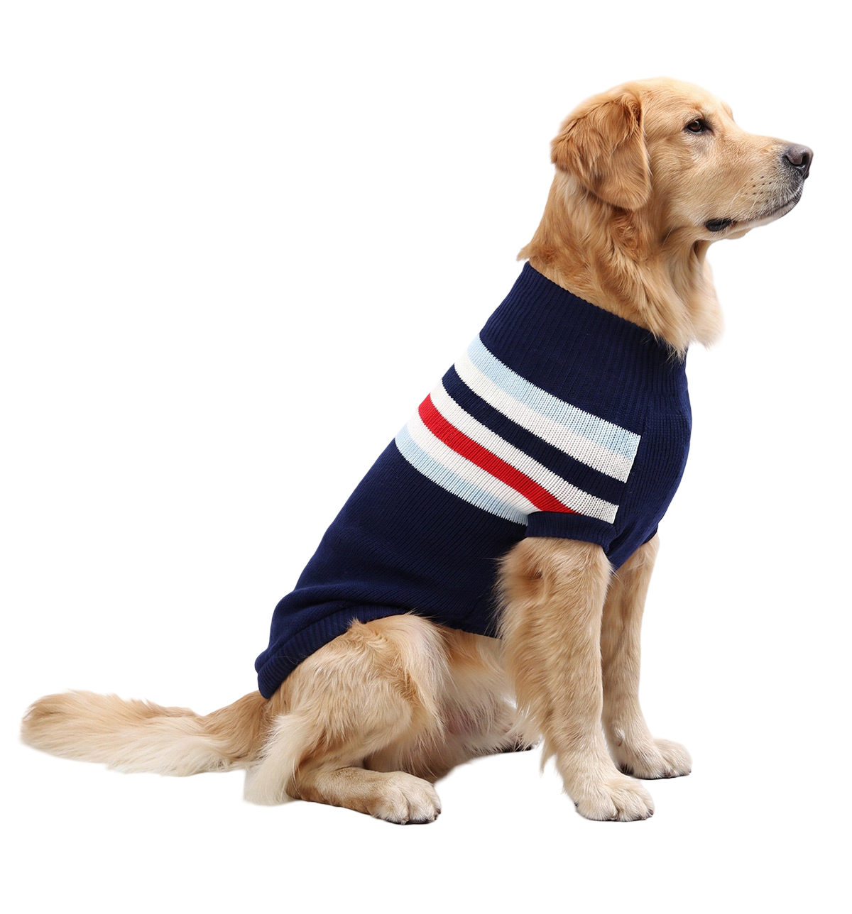 Stripe Pet Sweater