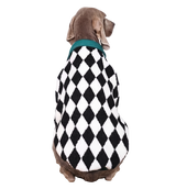 Harlequin Pet Polo