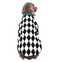 Harlequin Pet Polo