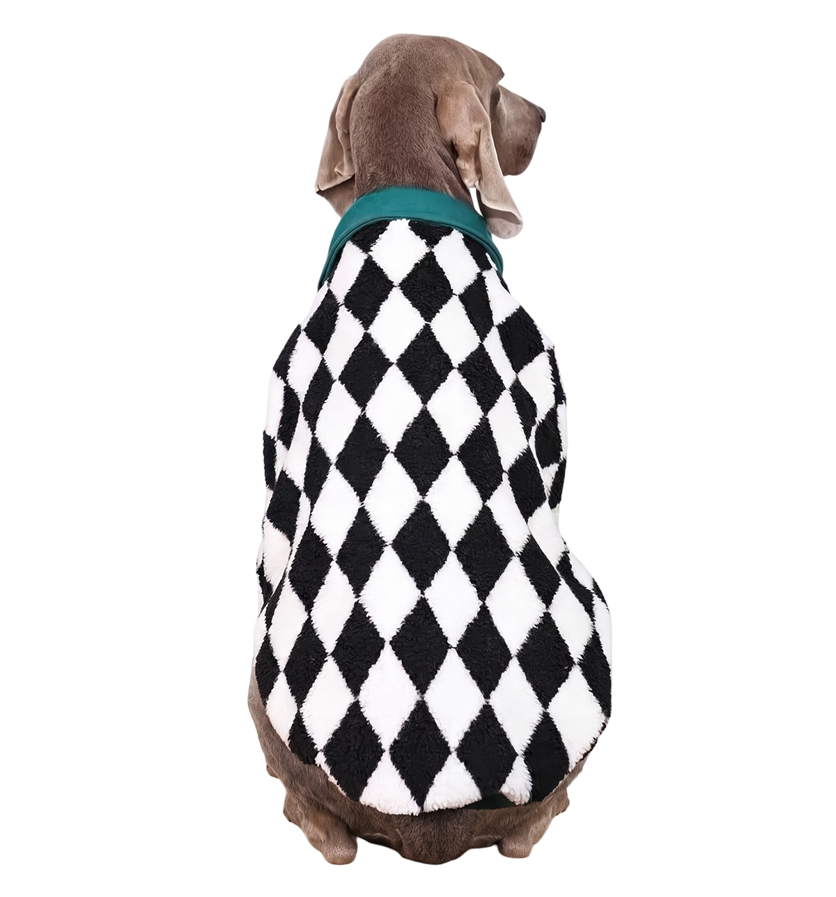 Harlequin Pet Polo