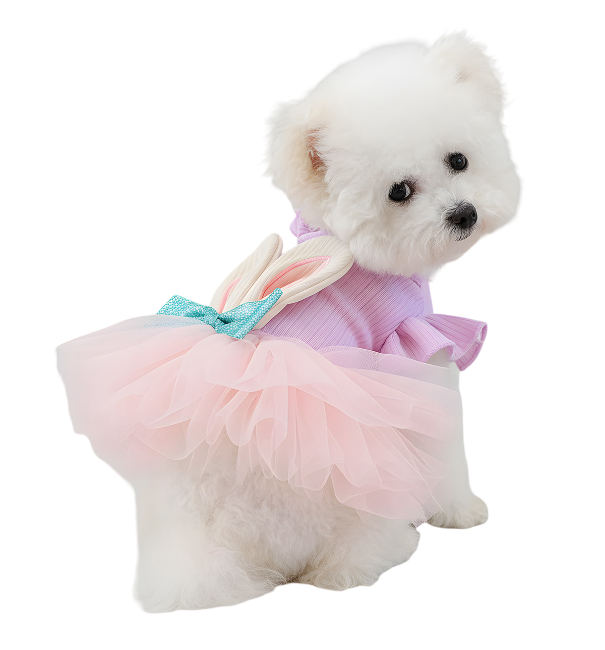 Loly-Fairy Pet Dress