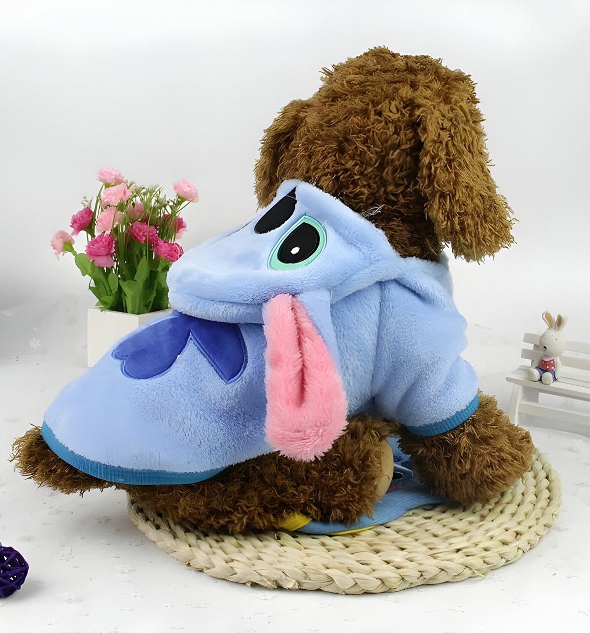 Dory-Sweet Pet Jacket