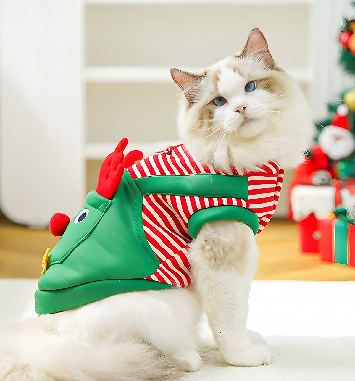 Lupy-Christmas Elf Suit