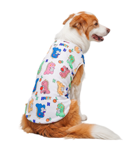 Cute Dino Pet Vest