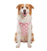 Dot Plush Pet Vest