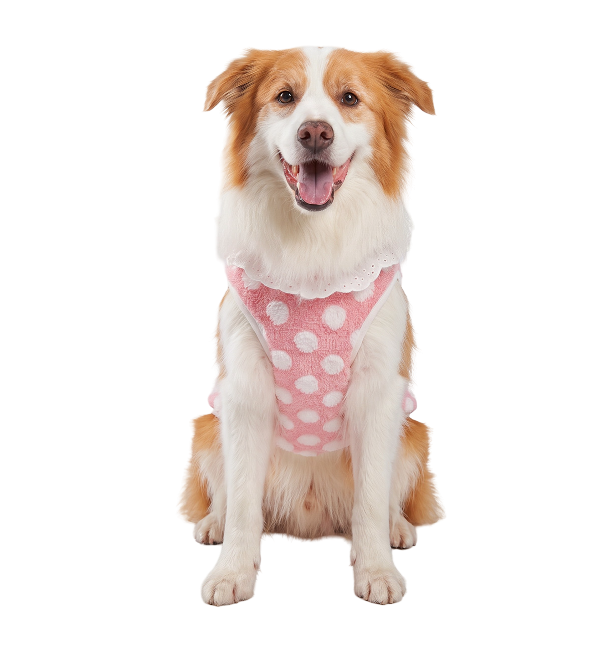 Dot Plush Pet Vest