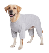 Pet Recovery Suit