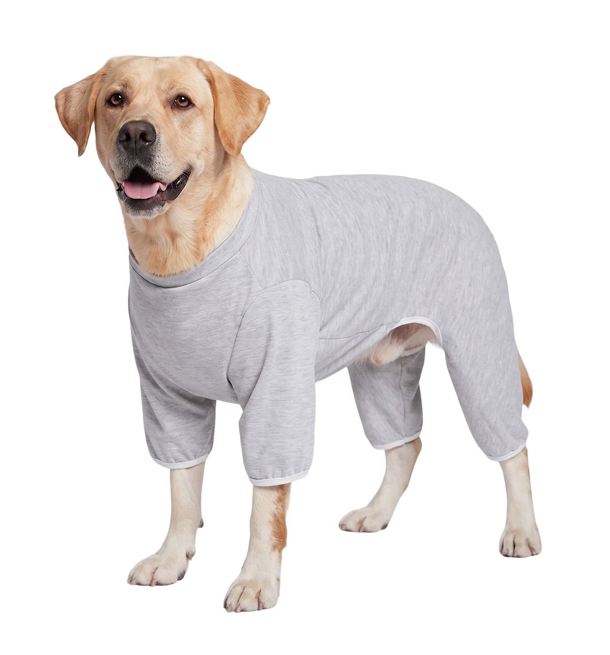 Pet Recovery Suit