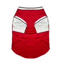 Sport Pet Tee