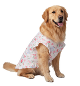 Floral Pet Dress