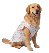 Floral Pet Dress