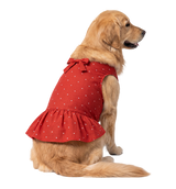 Bow Pet Dress
