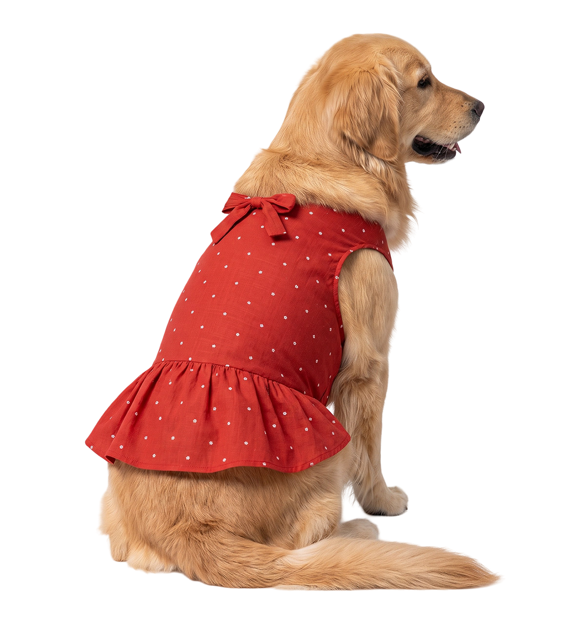 Bow Pet Dress